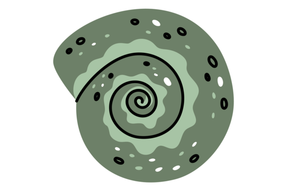 Download Green Tropical Spiral Seashell. Mollusk - Mollusk Collection