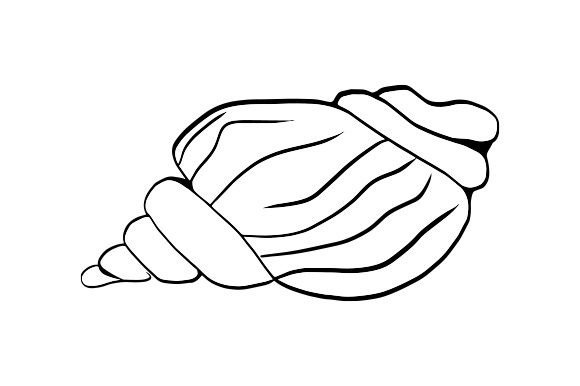 Download Sea Shell Line Art - Premium Bundle