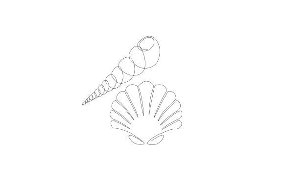 Download Sea Shell Line Art - Premium Resources