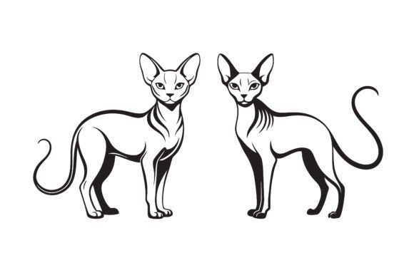 Download Sphynx Cat Line Art Silhouette Bundle. - Cat line art Collection